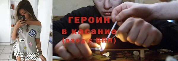индика Богородицк