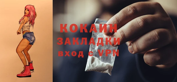 дурь Бородино