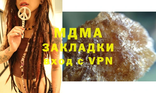 индика Богородицк