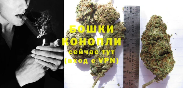 ГАЛЛЮЦИНОГЕННЫЕ ГРИБЫ Беломорск