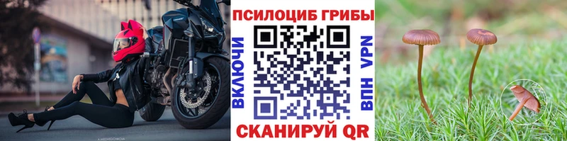 наркошоп  Белоярский  Псилоцибиновые грибы Cubensis 